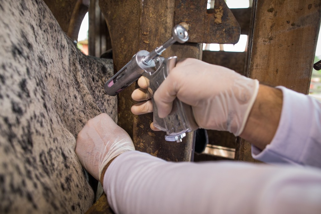 Crédito: Wenderson Araujo/ CNA