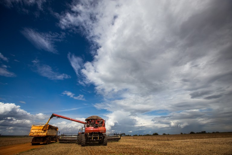 O que é Matopiba e quais as vantagens de plantar na fronteira agrícola? 