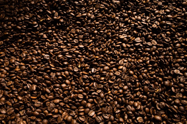 Chuvas atípicas impactam colheita de café arábica no Brasil; Chapada Diamantina registra cenário positivo