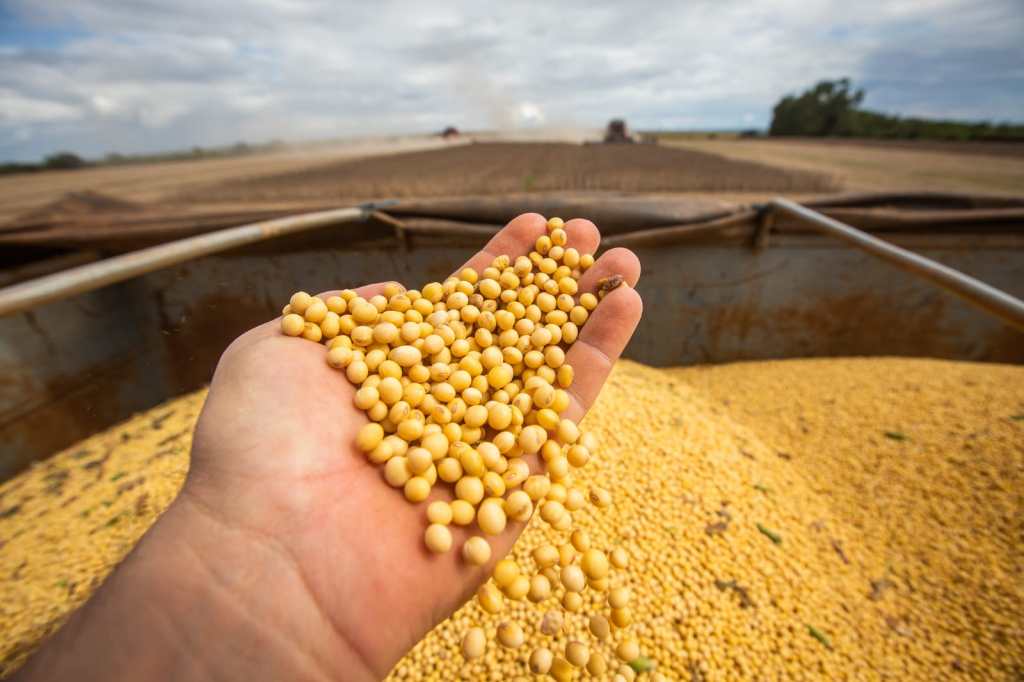 Fotografia colorida de uma mão segurando um punhado de soja, em frente à um tanque cheio dos grãos.