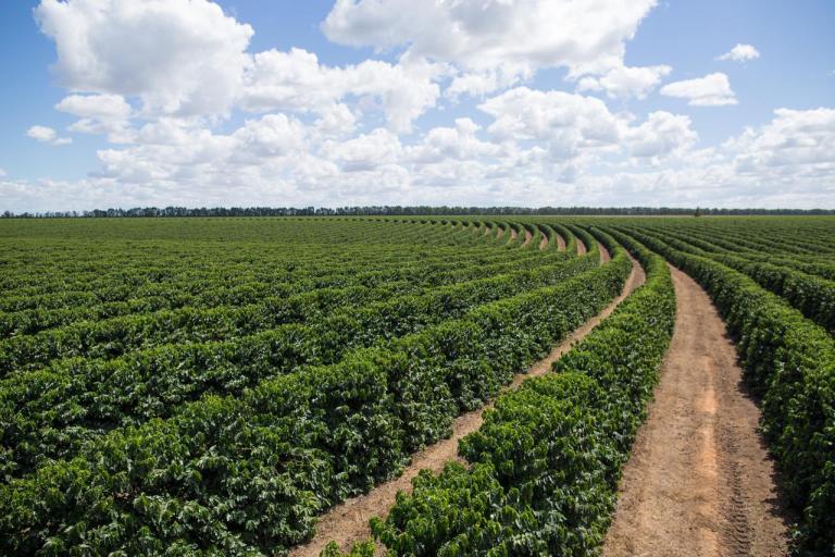 Turismo rural ganha força na Bahia