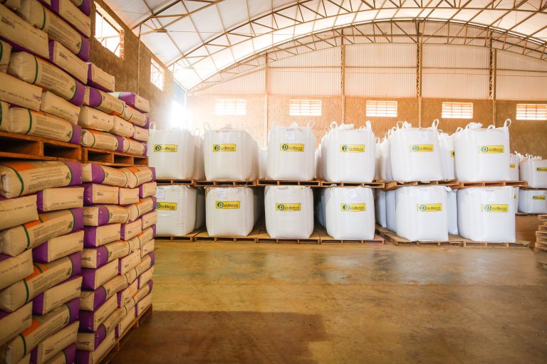 Transgênicos fazem mal? Mitos e verdades sobre sementes OGM no Brasil