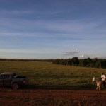 Proagro ou Seguro Rural: entenda as diferenças e saiba como escolher