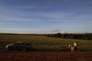 Proagro ou Seguro Rural: entenda as diferenças e saiba como escolher
