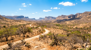 Fotografia colorida mostra uma estrada precária cercada de uma paisagem árida no sertão da Bahia.