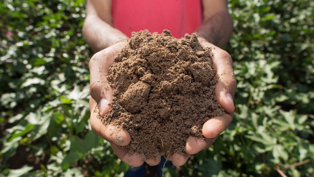 solo e sua importância para produtividade e sustentabilidade