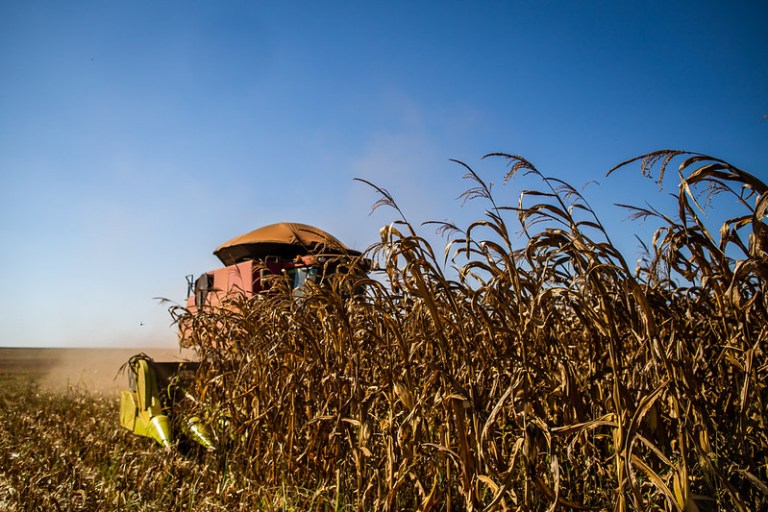 Plano Safra 2026/2027 da agricultura familiar terá R$ 97 bilhões