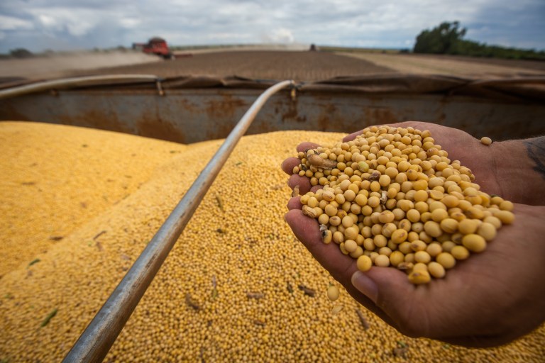 Produção de grãos do Nordeste cresce 8,3% na safra 2025/26