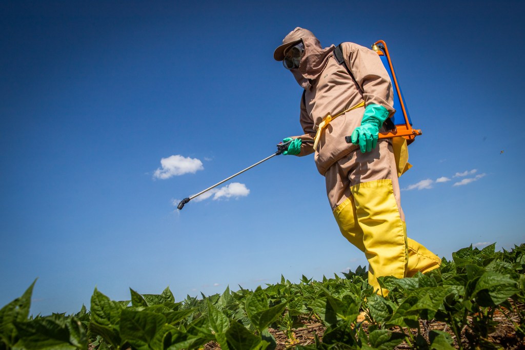 Defensivos agrícolas mais usados na Bahia são proibidos pela União Europeia