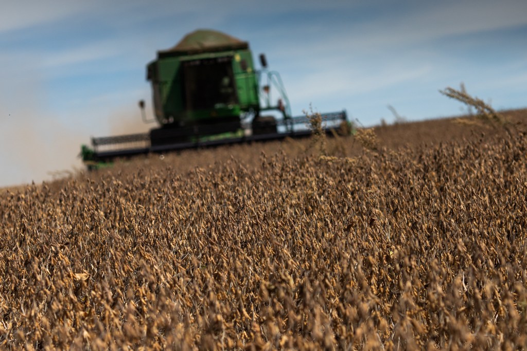 Você sabe o que é produtor rural integrado? Nomenclatura garante segurança jurídica no campo