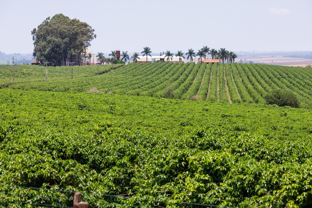 Fim de semana terá sol com chuvas pontuais; veja previsão do tempo para a Bahia