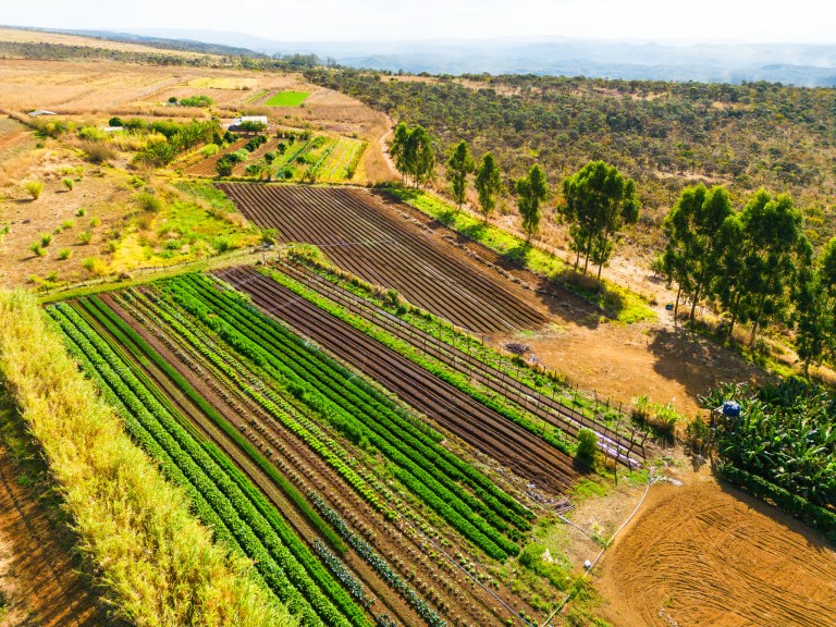 ITR 2026 começa hoje: veja os valores da Terra Nua nos municípios baianos