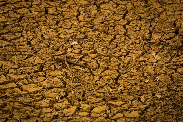 Temperatura do Pacífico sobe 2°C e NOAA confirma Super El Niño