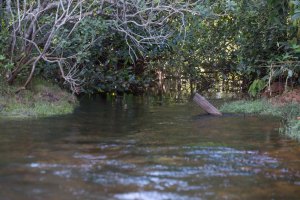 12 rios do Oeste da Bahia têm níveis abaixo do esperado