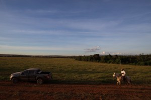 Seguro rural: o que o produtor precisa saber antes de contratar
