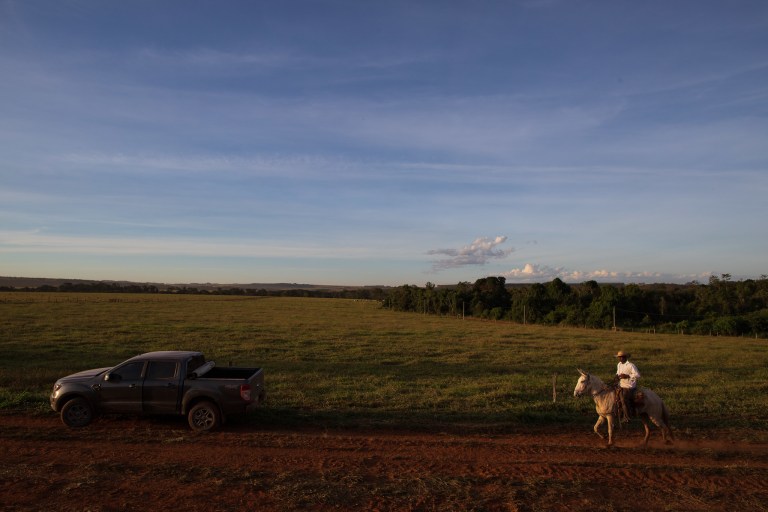 Seguro rural: o que o produtor precisa saber antes de contratar