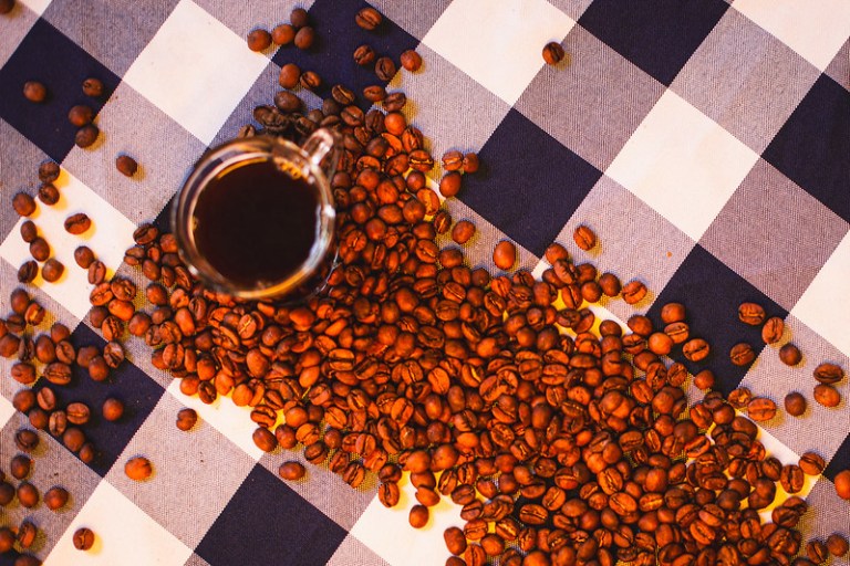 Exportação de café dispara na Bahia enquanto preço pago ao produtor recua