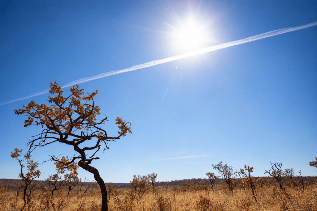 Seca severa e alta em focos de calor ameaçam produtores rurais em Barra